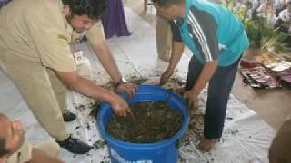 Sosialisasi dan Edukasi POS EMAS SMPN1