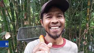 Godeg Tradisi Unik Di Desa Sokawera