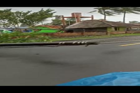 AKIBAT ANGIN KENCANG DI JALAN RAYA ANY