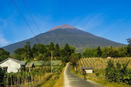 Status Gunung Slamet Meningkat Jadi Wa
