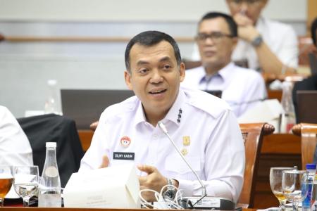 Silmy Karim Revisi UU Imigrasi untuk P