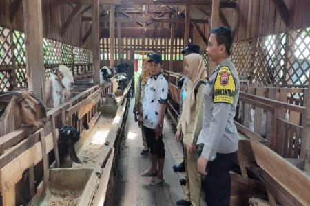 PMK Kembali Marak Polisi Edukasi Peternak di Demak