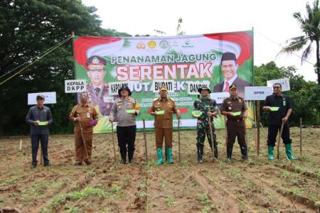 Dukung Program Asta Cita Presiden RI Forkopimda Sumenep Tanam Jagung B