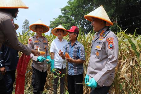 DUKUNG SWASEMBADA PANGAN NASIONAL 