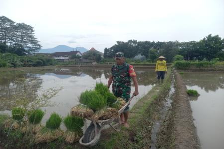 WUJUD KEPEDULIAN TNI PADA KETAHANA